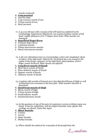muscle is injured?
A. Long peroneal
B. Anterior tibial
C. Long extensor muscle of toes
D. Triceps muscle of crus
E. Short peroneal
71. A 35 year old man with a trauma of his left hand was admitted to the
traumatology department. Objectively: cut wound of palmar surface of left
hand; middle phalanxes of II–V fingers don't bend. What muscles are
damaged?
A. Superficial finger flexor
B. Profound finger flexor
C. Lumbrical muscles
D. Palmar interosseous muscles
E. Dorsal interosseous muscles
72. A 38-year-old patient came to a traumatology centre and complained about
an injury of his right hand. Objectively: the patient has a cut wound in the
region of the thenar eminence on the right hand; distal phalanx of the I
finger cannot be flexed. What muscle was injured?
A. Long flexor muscle of thumb
B. Short flexor muscle of thumb
C. Short abductor muscle of thumb
D. Opposer muscle of thumb
E. Abductor muscle of thumb
73. A patient with neuritis of femoral nerve has disturbed flexion of thigh as well
as disturbed crus extension in the knee joint. What muscle's function is
disturbed?
A. Quadriceps muscle of thigh
B. Biceps muscle of thigh
C. Triceps muscle of thigh
D. Semitendinous muscle
E. Semimembranous muscle
74. In the specimen of one of the parts of respiratory system a tubular organ was
found. It has low epithelium, well developed muscular tunic, glands and
cartilage are absent. Name this organ:
A. Minor bronchs
B. Trachea
C. Larynx
D. Major bronchs
E. Median bronchs
75. Where should the cathetor for evacuation of the lymph from the
 