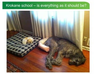 Krokane school – is everything as it should be?
 