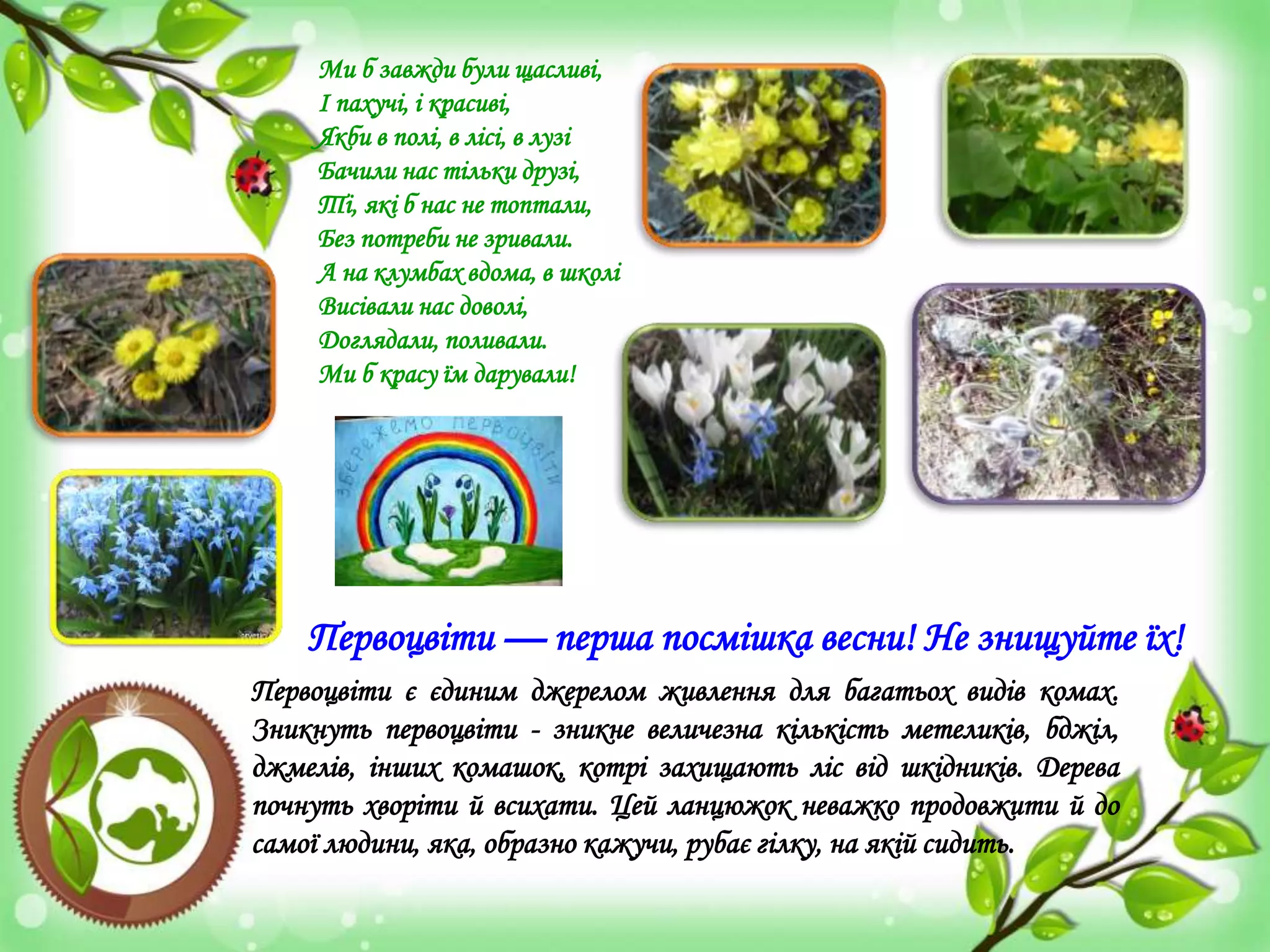 Первоцвіти є єдиним джерелом живлення для багатьох видів комах.
Зникнуть первоцвіти - зникне величезна кількість метеликів, бджіл,
джмелів, інших комашок, котрі захищають ліс від шкідників. Дерева
почнуть хворіти й всихати. Цей ланцюжок неважко продовжити й до
самої людини, яка, образно кажучи, рубає гілку, на якій сидить.
Ми б завжди були щасливі,
І пахучі, і красиві,
Якби в полі, в лісі, в лузі
Бачили нас тільки друзі,
Ті, які б нас не топтали,
Без потреби не зривали.
А на клумбах вдома, в школі
Висівали нас доволі,
Доглядали, поливали.
Ми б красу їм дарували!
Первоцвіти — перша посмішка весни! Не знищуйте їх!
 