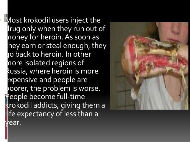 Krokodile 2