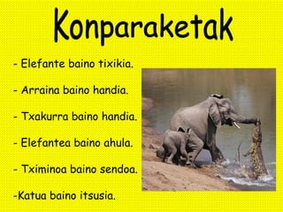 Krokodiloak. | PPT