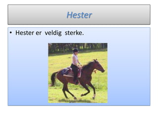 HesterHester er  veldig  sterke.
