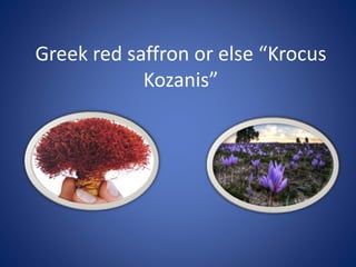 Greek red saffron or else “Krocus
Kozanis”
 