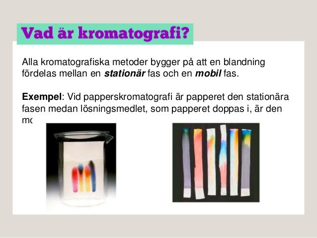 vad består proteiner av