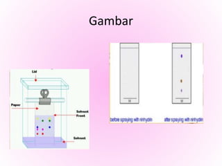 Kromatografi kertas & kromatografi lapis tipis b4 | PPT