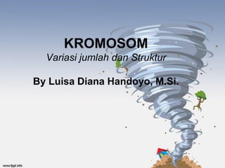 KROMOSOM
  Variasi jumlah dan Struktur

By Luisa Diana Handoyo, M.Si.
 