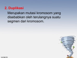 2. Duplikasi
  Merupakan mutasi kromosom yang
  disebabkan oleh terulangnya suatu
  segmen dari kromosom.
 