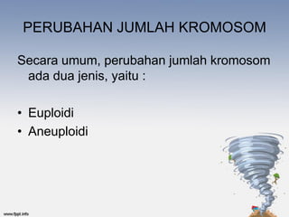PERUBAHAN JUMLAH KROMOSOM

Secara umum, perubahan jumlah kromosom
 ada dua jenis, yaitu :

• Euploidi
• Aneuploidi
 