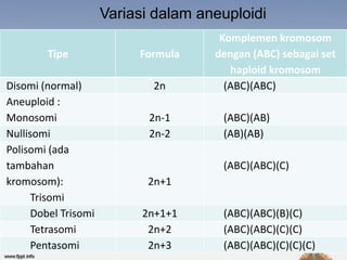 Variasi dalam aneuploidi
                                       Komplemen kromosom
        Tipe               Formula    dengan (ABC) sebagai set
                                         haploid kromosom
Disomi (normal)              2n         (ABC)(ABC)
Aneuploid :
Monosomi                     2n-1      (ABC)(AB)
Nullisomi                    2n-2      (AB)(AB)
Polisomi (ada
tambahan                               (ABC)(ABC)(C)
kromosom):                  2n+1
      Trisomi
      Dobel Trisomi         2n+1+1     (ABC)(ABC)(B)(C)
      Tetrasomi              2n+2      (ABC)(ABC)(C)(C)
      Pentasomi              2n+3      (ABC)(ABC)(C)(C)(C)
 