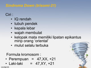 Sindroma Down (trisomi-21)

Ciri :
    • IQ rendah
    • tubuh pendek
    • kepala lebar
    • wajah membulat
    • kelopak mata memiliki lipatan epikantus
      mirip orang ‘oriental’
    • mulut selalu terbuka

 Formula kromosom :
• Perempuan = 47,XX, +21
• Laki-laki  = 47,XY, +21
 