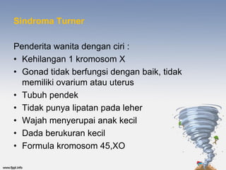 Sindroma Turner

Penderita wanita dengan ciri :
• Kehilangan 1 kromosom X
• Gonad tidak berfungsi dengan baik, tidak
  memiliki ovarium atau uterus
• Tubuh pendek
• Tidak punya lipatan pada leher
• Wajah menyerupai anak kecil
• Dada berukuran kecil
• Formula kromosom 45,XO
 