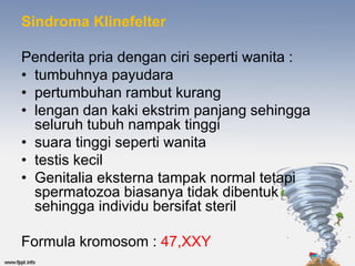 Sindroma Klinefelter

Penderita pria dengan ciri seperti wanita :
• tumbuhnya payudara
• pertumbuhan rambut kurang
• lengan dan kaki ekstrim panjang sehingga
  seluruh tubuh nampak tinggi
• suara tinggi seperti wanita
• testis kecil
• Genitalia eksterna tampak normal tetapi
  spermatozoa biasanya tidak dibentuk
  sehingga individu bersifat steril

Formula kromosom : 47,XXY
 
