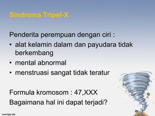 Sindroma Tripel-X

Penderita perempuan dengan ciri :
• alat kelamin dalam dan payudara tidak
  berkembang
• mental abnormal
• menstruasi sangat tidak teratur

Formula kromosom : 47,XXX
Bagaimana hal ini dapat terjadi?
 