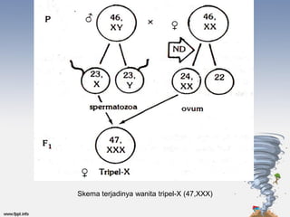 Skema terjadinya wanita tripel-X (47,XXX)
 