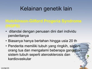 Kelainan genetik lain

Hutchinson-Gilford Progeria Syndrome
(HGPS)
• ditandai dengan penuaan dini dari individu
  penderitanya
• Biasanya hanya bertahan hingga usia 20 th
• Penderita memiliki tubuh yang ringkih, seperti
  orang tua dan mengalami beberapa gangguan
  sistem tubuh seperti aterosklerosis dan
  kardiovaskular
 