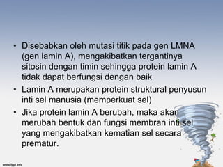 • Disebabkan oleh mutasi titik pada gen LMNA
  (gen lamin A), mengakibatkan tergantinya
  sitosin dengan timin sehingga protein lamin A
  tidak dapat berfungsi dengan baik
• Lamin A merupakan protein struktural penyusun
  inti sel manusia (memperkuat sel)
• Jika protein lamin A berubah, maka akan
  merubah bentuk dan fungsi membran inti sel
  yang mengakibatkan kematian sel secara
  prematur.
 