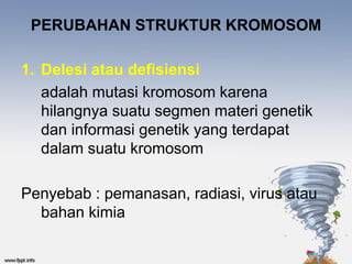 PERUBAHAN STRUKTUR KROMOSOM

1. Delesi atau defisiensi
   adalah mutasi kromosom karena
   hilangnya suatu segmen materi genetik
   dan informasi genetik yang terdapat
   dalam suatu kromosom

Penyebab : pemanasan, radiasi, virus atau
  bahan kimia
 