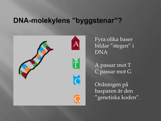 Kromosomer dna och gener | PPTX