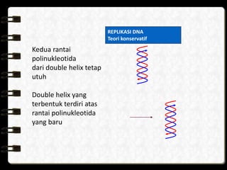 KROMOSOM, GEN, DAN DNA | PPTX