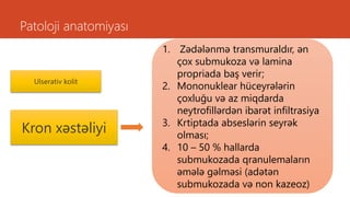 Patoloji anatomiyası
Ulserativ kolit
Kron xəstəliyi
1. Zədələnmə transmuraldır, ən
çox submukoza və lamina
propriada baş verir;
2. Mononuklear hüceyrələrin
çoxluğu və az miqdarda
neytrofillərdən ibarət infiltrasiya
3. Krtiptada abseslərin seyrək
olması;
4. 10 – 50 % hallarda
submukozada qranulemaların
əmələ gəlməsi (adətən
submukozada və non kazeoz)
 