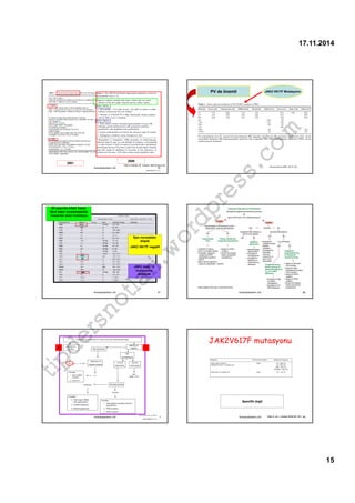 Tefferi Algorithm Kronik myeloproliferatif hastalık | PDF
