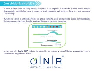 Nuestro cuerpo tiene un reloj interno que indica a los órganos el momento cuando deben realizar
determinadas actividades para el correcto funcionamiento del sistema. Esto es conocido como
Cronobiología.
Durante la noche, el almacenamiento de grasa aumenta, pero este proceso puede ser balanceado
disminuyendo la cantidad de calorías disponibles en el torrente sanguíneo.
La fórmula de Oxylia NR® reduce la absorción de azúcar y carbohidratos provocando que la
acumulación de grasa sea menor.
Cronobiología en acción
 