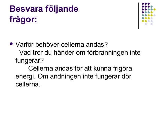 varför behöver vi syre