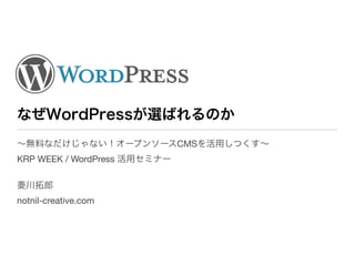 CMS
KRP WEEK / WordPress



notnil-creative.com
 