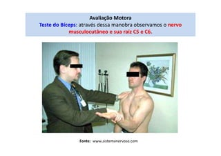 Avaliação Motora
Teste do Bíceps: através dessa manobra observamos o nervo
musculocutâneo e sua raíz C5 e C6.
Fonte: www.sistemanervoso.com
 