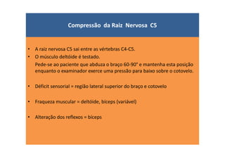 Compressão da Raiz Nervosa C5
• A raiz nervosa C5 sai entre as vértebras C4-C5.
• O músculo deltóide é testado.
Pede-se ao paciente que abduza o braço 60-90° e mantenha esta posição
enquanto o examinador exerce uma pressão para baixo sobre o cotovelo.
• Déficit sensorial = região lateral superior do braço e cotovelo
• Fraqueza muscular = deltóide, bíceps (variável)
• Alteração dos reflexos = bíceps
 