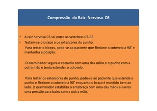 Compressão da Raiz Nervosa C6
• A raiz nervosa C6 sai entre as vértebras C5-C6.
• Testam-se o bíceps e os extensores do punho.
Para testar o bíceps, pede-se ao paciente que flexione o cotovelo a 90° e
mantenha a posição.
O examinador segura o cotovelo com uma das mãos e o punho com a
outra mão e tenta estender o cotovelo.
Para testar os extensores do punho, pede-se ao paciente que estenda o
punho e flexione o cotovelo a 90° enquanto o braço é mantido bem ao
lado. O examinador estabiliza o antebraço com uma das mãos e exerce
uma pressão para baixo com a outra mão.
 