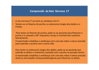 Compressão da Raiz Nervosa C7
• A raiz nervosa C7 sai entre as vértebras C6-C7.
• Testam-se os flexores do punho, os extensores longos dos dedos e o
tríceps.
Para testar os flexores do punho, pede-se ao paciente para flexionar o
punho e o cotovelo a 90° enquanto o braço é mantido bem próximo
lateralmente.
O examinador estabiliza o antebraço com uma das mãos e exerce pressão
para estender o punho com a outra mão.
Para testar os extensores longos dos dedos, pede-se ao paciente que
estenda os dedos e mantenha a posição com o punho na posição neutra.
O examinador estabiliza o antebraço com uma das mãos e exerce pressão
distal às articulações metacarpofalangianas para flexionar os dedos.
 
