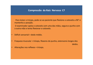 Compressão da Raiz Nervosa C7
Para testar o tríceps, pede-se ao paciente que flexione o cotovelo a 90° e
mantenha a posição.
O examinador apóia o cotovelo com uma das mãos, segura o punho com
a outra mão e tenta flexionar o cotovelo.
• Déficit sensorial = dedo médio.
• Fraqueza muscular = tríceps, flexores do punho, extensores longos dos
dedos.
• Alterações nos reflexos = tríceps.
 