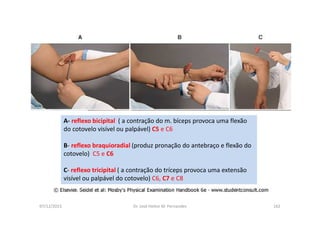 07/12/2015 Dr. José Heitor M. Fernandes 162
A- reflexo bicipital ( a contração do m. bíceps provoca uma flexão
do cotovelo visível ou palpável) C5 e C6
B- reflexo braquioradial (produz pronação do antebraço e flexão do
cotovelo) C5 e C6
C- reflexo tricipital ( a contração do tríceps provoca uma extensão
visível ou palpável do cotovelo) C6, C7 e C8
 