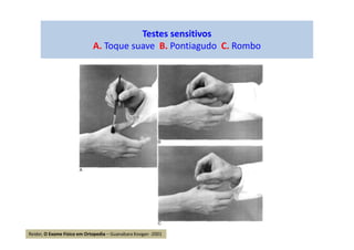 Testes sensitivos
A. Toque suave B. Pontiagudo C. Rombo
Reider, O Exame Físico em Ortopedia – Guanabara Koogan -2001
 