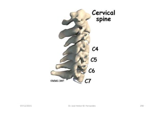 figura
07/12/2015 Dr. José Heitor M. Fernandes 290
 