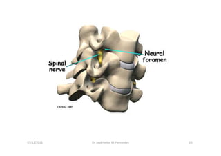 figura
07/12/2015 Dr. José Heitor M. Fernandes 291
 