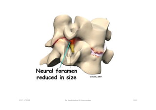 figura
07/12/2015 Dr. José Heitor M. Fernandes 293
 