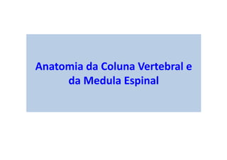Anatomia da Coluna Vertebral e
da Medula Espinal
 