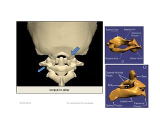 figura
07/12/2015 Dr. José Heitor M. Fernandes 41
 