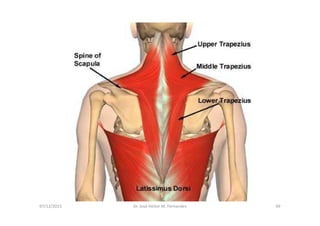 figura
07/12/2015 Dr. José Heitor M. Fernandes 49
 