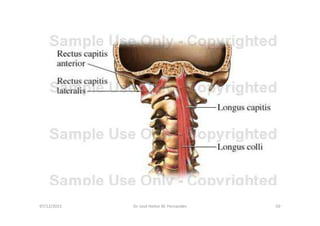 figura
07/12/2015 Dr. José Heitor M. Fernandes 50
 