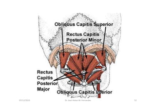 figura
07/12/2015 Dr. José Heitor M. Fernandes 52
<>
 