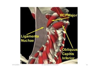 figura
07/12/2015 Dr. José Heitor M. Fernandes 53
<>
 