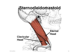 figura
07/12/2015 Dr. José Heitor M. Fernandes 54
<>
 