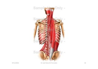 figura
07/12/2015 Dr. José Heitor M. Fernandes 56
 