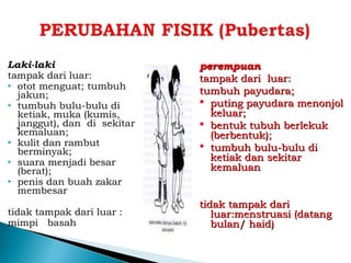 Laki-laki
tampak dari luar:
 otot menguat; tumbuh
jakun;
 tumbuh bulu-bulu di
ketiak, muka (kumis,
janggut), dan di sekitar
kemaluan;
 kulit dan rambut
berminyak;
 suara menjadi besar
(berat);
 penis dan buah zakar
membesar
tidak tampak dari luar :
mimpi basah
perempuanperempuan
tampak dari luar:tampak dari luar:
tumbuh payudaratumbuh payudara;;
 puting payudara menonjolputing payudara menonjol
keluarkeluar;;
 bentuk tubuh berlekukbentuk tubuh berlekuk
(berbentuk)(berbentuk);;
 tumbuh bulu-bulu ditumbuh bulu-bulu di
ketiak dan sekitarketiak dan sekitar
kemaluankemaluan
tidak tampak daritidak tampak dari
luar:menstruasi (datangluar:menstruasi (datang
bulan/ haid)bulan/ haid)
 