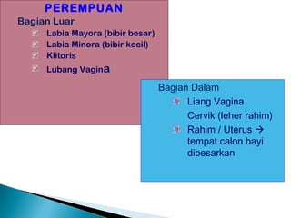 PEREMPUAN
Bagian Luar
Labia Mayora (bibir besar)
Labia Minora (bibir kecil)
Klitoris
Lubang Vagina
Bagian Dalam
Liang Vagina
Cervik (leher rahim)
Rahim / Uterus 
tempat calon bayi
dibesarkan
 