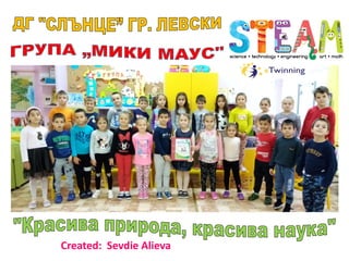 Created: Sevdie Alieva
 