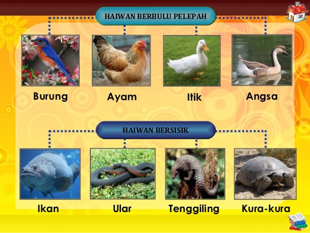 Bahagian Badan Haiwan (D20112054684)